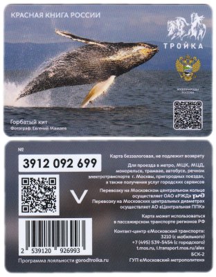 купить Транспортная карта Тройка / 2023 / Красная книга России / Горбатый кит
