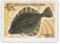 Купить 45 копеек 1983 "Промысловые рыбы: Звездчатая камбала"