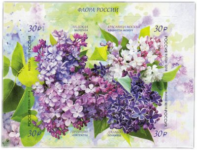 купить Набор из 4 марок 30 рублей 2018 "Флора России: Сирень обыкновенная - сорта Л А Колесникова"