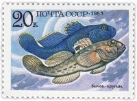 Купить 20 копеек 1983 "Промысловые рыбы: Бычок-кругляк"