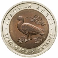 купить 10 рублей 1992 ЛМД краснозобая казарка