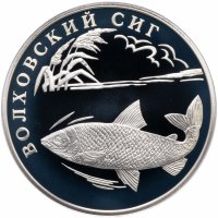 купить 1 рубль 2005 СПМД "Красная книга: волховский сиг"