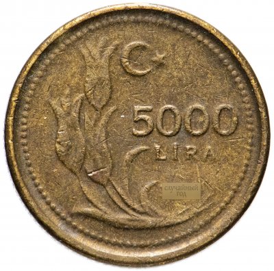 купить Турция 5000 лир (lira) 1995-2001, случайная дата
