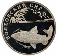 купить 1 рубль 2005 СПМД волховский сиг