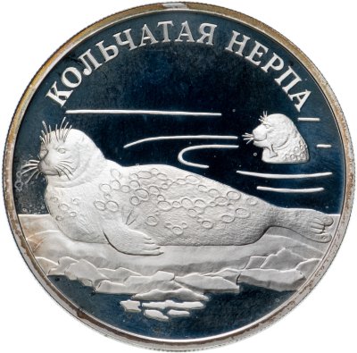 купить 1 рубль 2007 СПМД кольчатая нерпа (ладожский подвид)