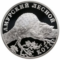 купить 1 рубль 2004 СПМД амурский лесной кот