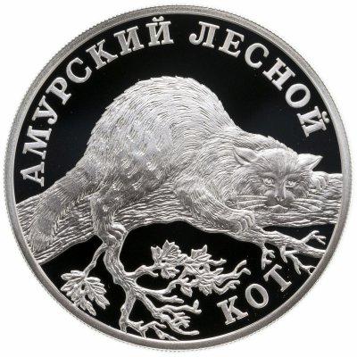 купить 1 рубль 2004 СПМД амурский лесной кот