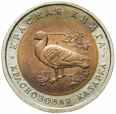 купить 10 рублей 1992 ЛМД краснозобая казарка