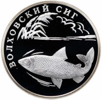 купить 1 рубль 2005 СПМД "Красная книга: волховский сиг"