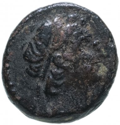 купить Государство Селевкидов, Селевк II Каллиник, 246-225 годы до Р.Х., AE16. (Лошадь)