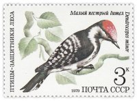 купить 3 копейки 1979 "Птицы - защитники леса: Малый пестрый дятел"