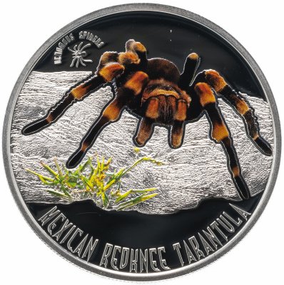 купить Ниуэ 1 доллар 2012 Proof "Ядовитые пауки - мексиканский красноколеный Тарантул" в футляре, с сертификатом