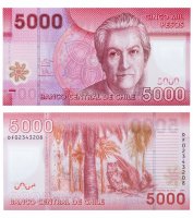 купить Чили 5000 песо 2013 (Pick 163d) пластик