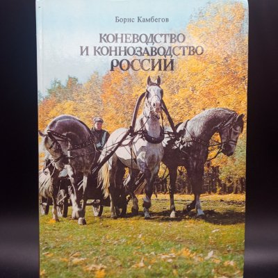 купить Книга "Коневодство и коннозаводство России", Камбегов Б.Д., Росагропромиздат, бумага, печать, СССР, 1988 г.