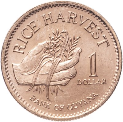 купить Гайана 1 доллар (dollar) 1996