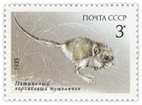Купить 3 копейки 1985 "Красная книга СССР: Пятипалый карликовый тушканчик"