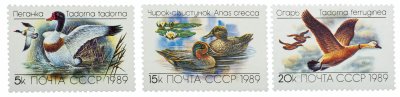 купить Полная серия 1989 "Утки" (3 марки)