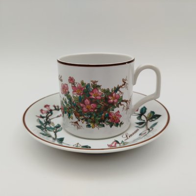 купить Чайно-кофейная пара "Линнея северная" (Linnaea borealis), фаянс, деколь, Villeroy & Boch, фаянс, деколь, Villeroy & Boch, Люксембург, 2000-2020 гг.