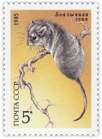 Купить 5 копеек 1985 "Красная книга СССР: Боялычная Соня"
