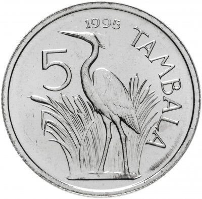 купить Малави 5 тамбал (tambala) 1995 (Герб на аверсе)