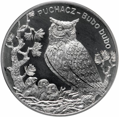 купить Польша 20 злотых 2005 «Сова»