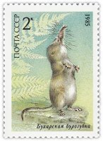 Купить 2 копейки 1985 "Красная книга СССР: Бухарская бурозубка"