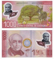 Купить Коста Рика 1000 колон 2009 (Pick 274a) пластик