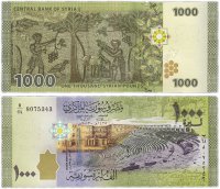 Купить Сирия 1000 фунтов 2013 (Pick 116)