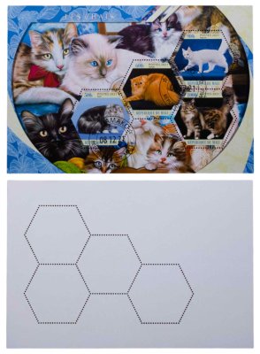 купить Мали марки квартблок "Коты и кошки"