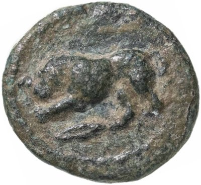 купить Фракия, Херсонес Фракийский, 357/346-309 годы до Р.Х., AE14.