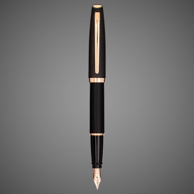 купить Перьевая ручка Aurora Style Resina Matt Black PGT, перо - F, в подарочной коробке, Покрытия: позолота, позолота, смола, 2026 г.