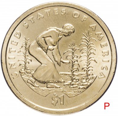 купить США 1 доллар (dollar) 2009 Р "Коренные Американцы - Посадка культур"