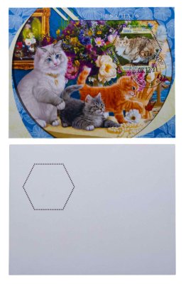 купить Мали марки квартблок "Коты и кошки"