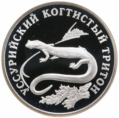 купить 1 рубль 2006 СПМД Уссурийский когтистый тритон