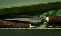 Купить Набор для разделки дичи (2 предмета), в оригинальном футляре, сталь, натуральный рог, фирма "Eichenlaub", г. Золинген, Германия, 1970-1980 гг.