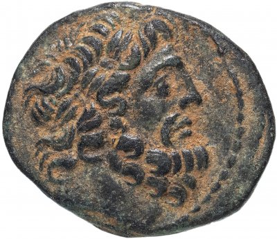 купить Сирия, Апамея-на-Оронте, квази-автономная чеканка, 56-76 год до Р.Х. (Слон)