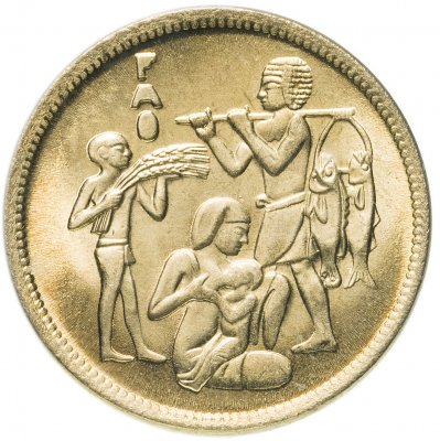 купить Египет 10 миллим (milliemes) 1976 "Продовольственная программа - ФАО"