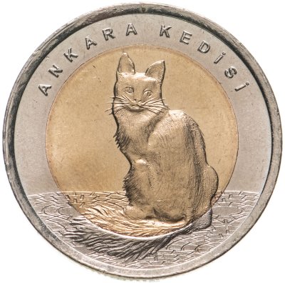 купить Турция 1 лира 2015 "Кошка турецкая ангора"