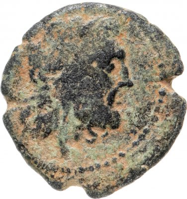 купить Царство Птолемеев, Птолемей Х, 106-88 годы до Р.Х., Дихалк.
