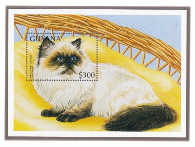 купить Гайана 300 долларов 1996 "Кошки мира. Породы кошек. Гималайская кошка", почтовый блок