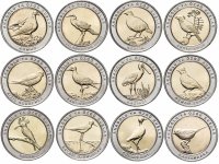купить Турция набор 12 монет 1 куруш 2019 (2020) "Анталийские Птицы" серия А