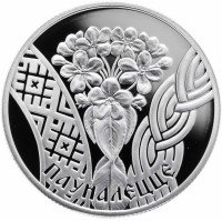 Купить Беларусь 1 рубль 2010 Proof "Совершеннолетие"