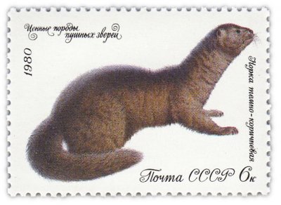 купить 6 копеек 1980 "Ценные породы пушистых зверей: Темно-коричневая норка"