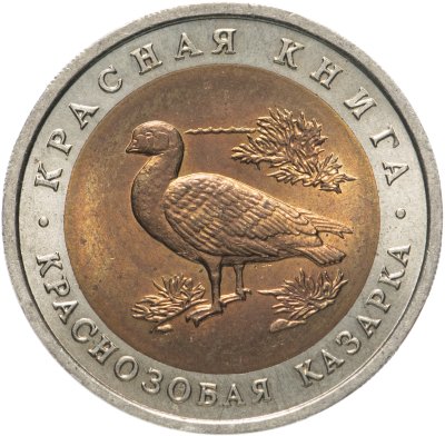 купить 10 рублей 1992 ЛМД Краснозобая казарка - Красная книга