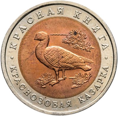 купить 10 рублей 1992 ЛМД Краснозобая казарка - Красная книга