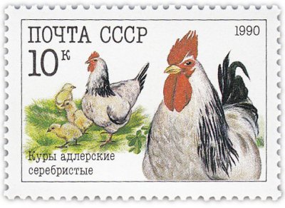 купить 10 копеек 1990 "Домашние птицы: Куры адлерские серебристые"