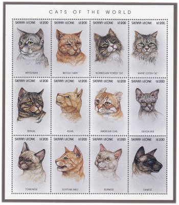 купить Сьерра-Леоне набор из 12 марок 1996 серии "Кошки мира. Породы кошек", 200 леоне, малый лист