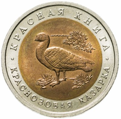купить 10 рублей 1992 ЛМД краснозобая казарка