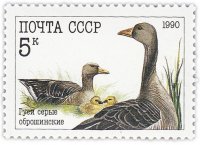 купить 5 копеек 1990 "Домашние птицы: Гуси серые оброшинские"
