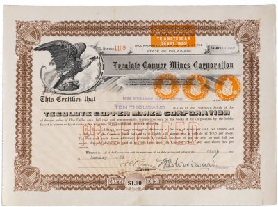 купить Акция США TECOLOTE COPPER CORPORATION 1929